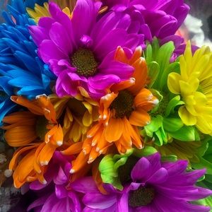 Meet your Posher, Hiram